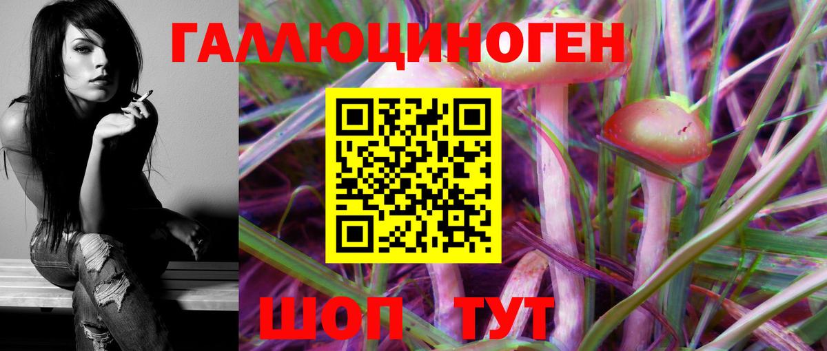 Псилоцибиновые грибы Magic Shrooms Сунжа