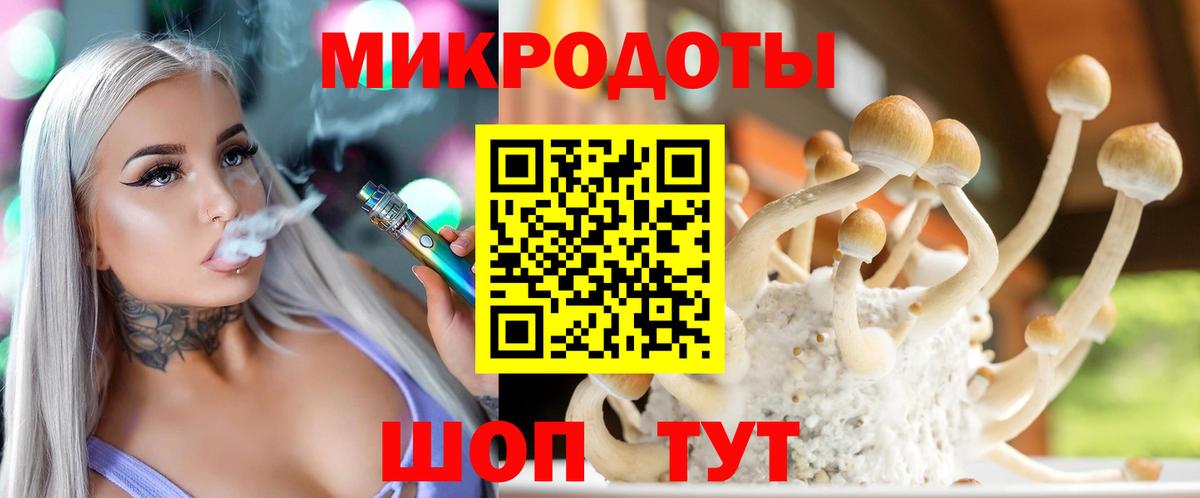Псилоцибиновые грибы GOLDEN TEACHER  Вход с VPN  Сунжа  Псилоцибиновые грибы прущие грибы 